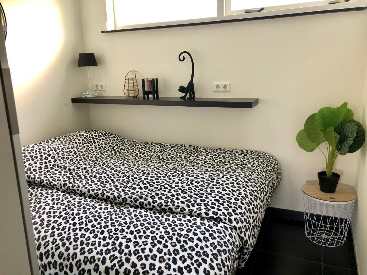 Strand 16 Apartman Egmond aan Zee Kültér fotó